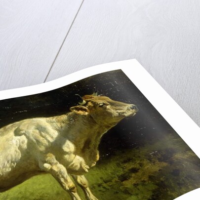 Cow in a Landscape by Friedrich Johann Voltz