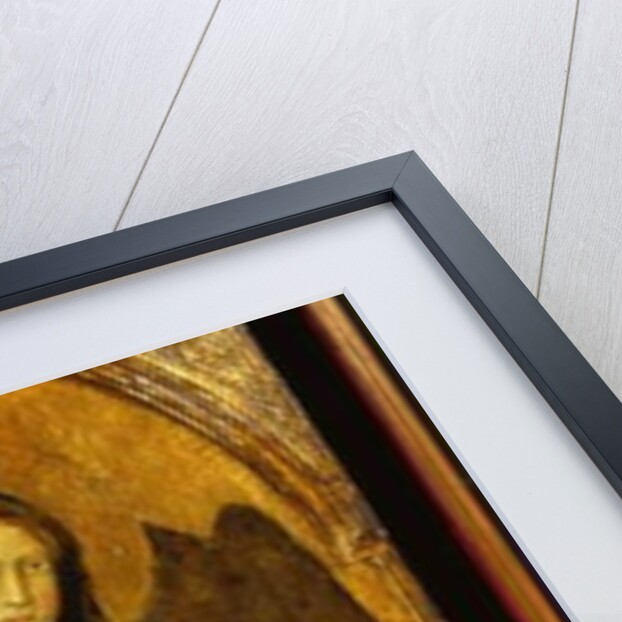 Madonna and Child with donor, panel from the high altar of SS. Domenico e Giacomo, Bevagna, 1416 by Benedetto di Bindo