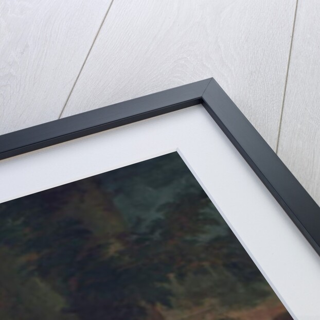 Portrait of Dorothy Brudenell, Countess of Westmoreland by Michael Dahl