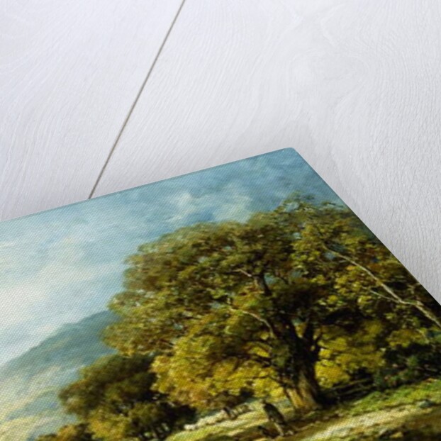 A Stroll Along the River by Andrew Melrose