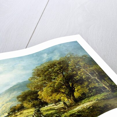 A Stroll Along the River by Andrew Melrose