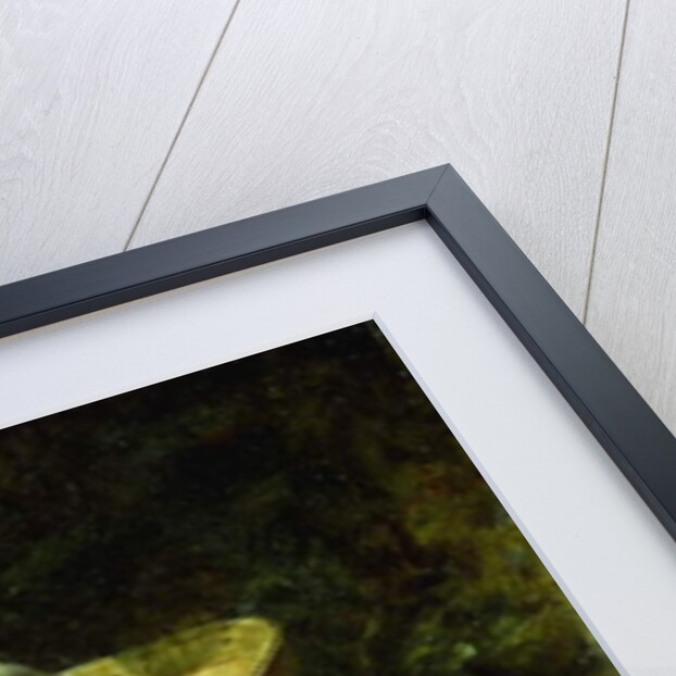 Peaches and Grapes by Carducius Plantagenet Ream