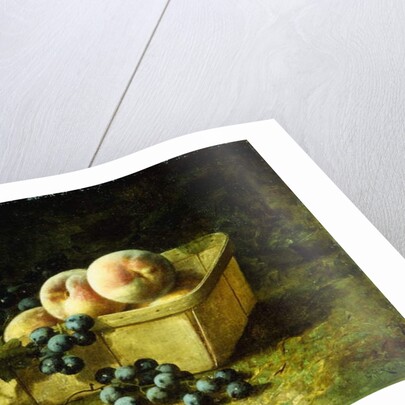 Peaches and Grapes by Carducius Plantagenet Ream