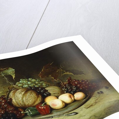 Bountiful Still Life, 1855 by Hugh Newell