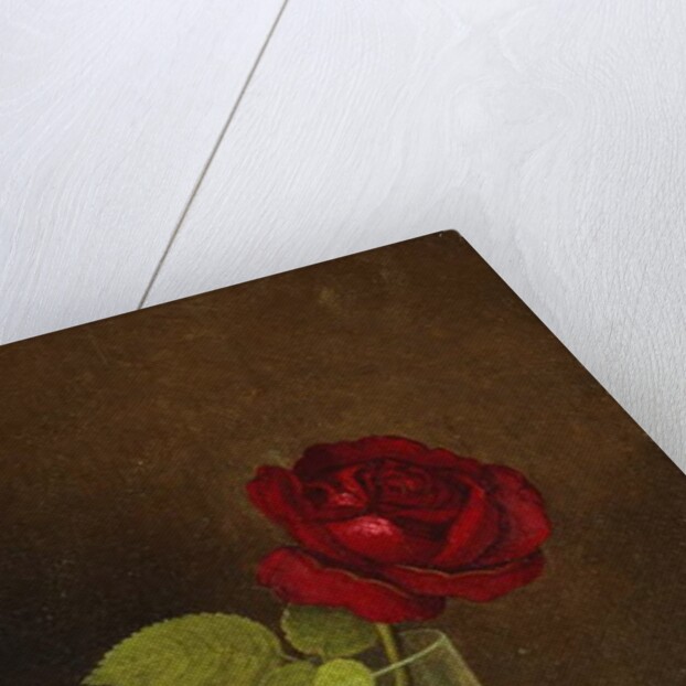 A Red Rose, by Martin Johnson Heade