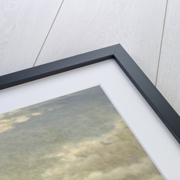 At the Seashore, 1881 by Samuel S. Carr