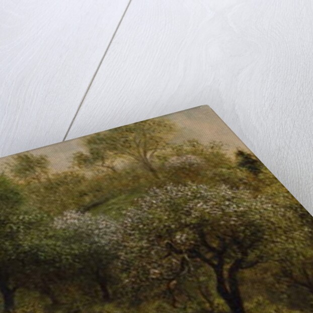 Girl on a Hillside, Apple Blossoms, 1874 by Martin Johnson Heade