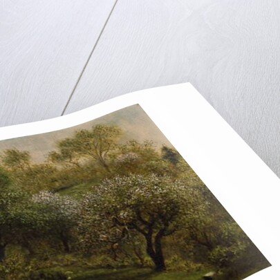 Girl on a Hillside, Apple Blossoms, 1874 by Martin Johnson Heade