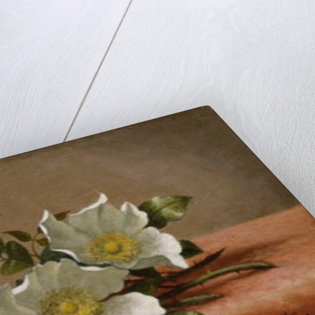 Cherokee Roses, 1889 by Martin Johnson Heade