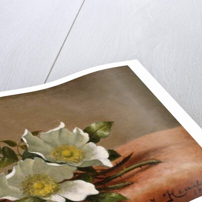 Cherokee Roses, 1889 by Martin Johnson Heade