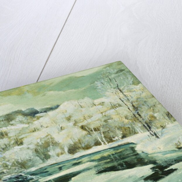 Frosted Trees by Jonas Lie