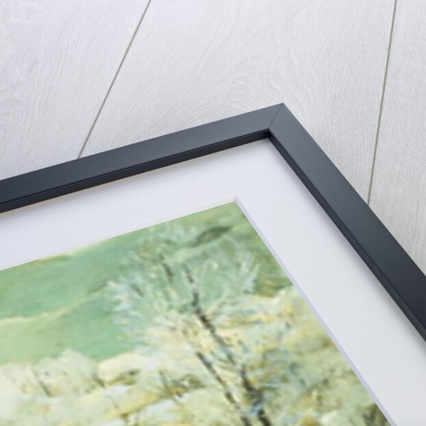 Frosted Trees by Jonas Lie