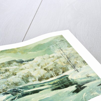 Frosted Trees by Jonas Lie