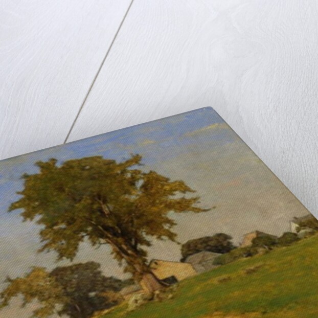 Old Elm at Medfield, 1860 by George Snr. Inness