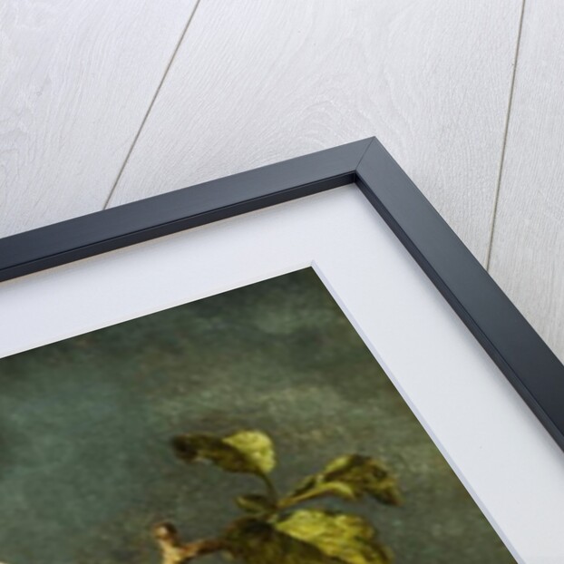 Apple Blossoms by Martin Johnson Heade