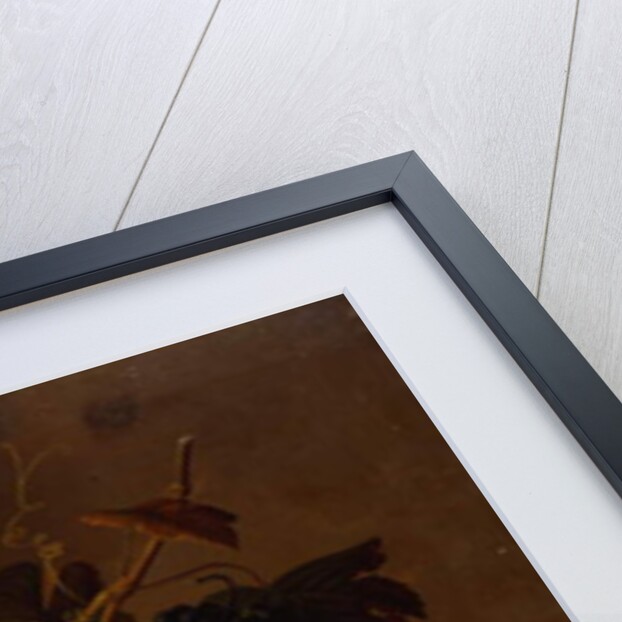 Still Life with Fruit, 1854 by Severin Roesen