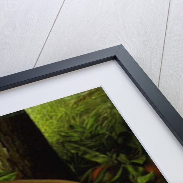 Apples in a Hat by Levi Wells Prentice