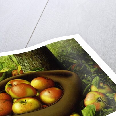 Apples in a Hat by Levi Wells Prentice