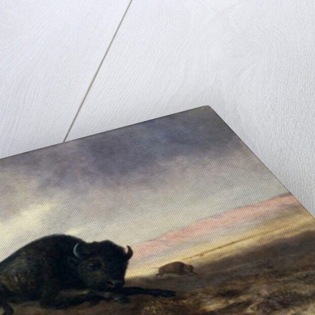 Buffalo Hunt, 1915 by Colin Campbell Cooper