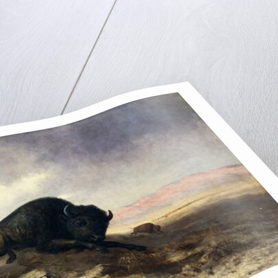 Buffalo Hunt, 1915 by Colin Campbell Cooper