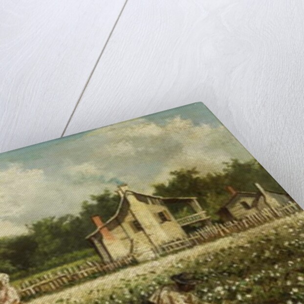 Watering the Mules by Gilbert Gaul