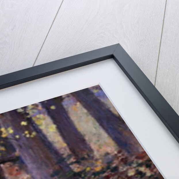 Autumn Sunlight, 1888 by Theodore Robinson