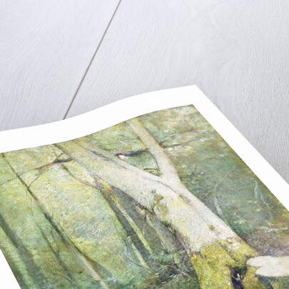 Interior Woodland by Emil Carlsen