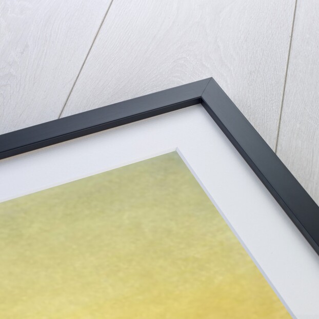 Sunrise Cove by William Bradford