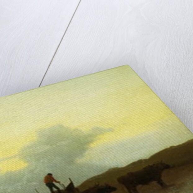 Coastal View, Newport, 1861 by Albert Bierstadt