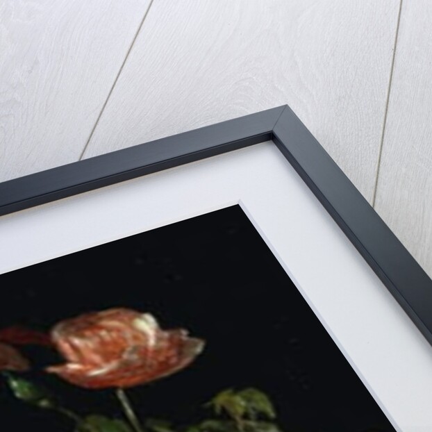 Roses, 1878 by George Cochran Lambdin