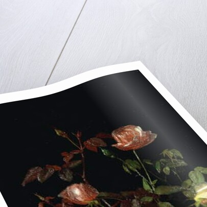 Roses, 1878 by George Cochran Lambdin