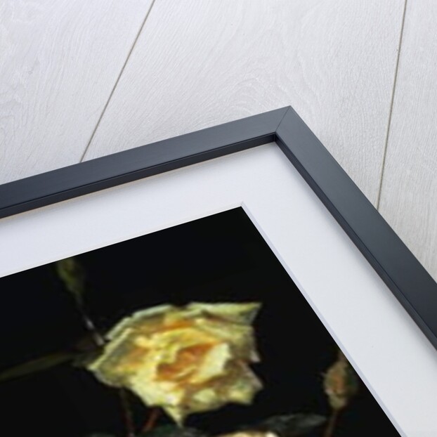 Roses, 1878 by George Cochran Lambdin