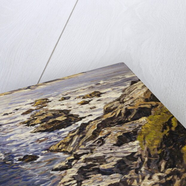 Rocky Coast by Walter Elmer Schofield