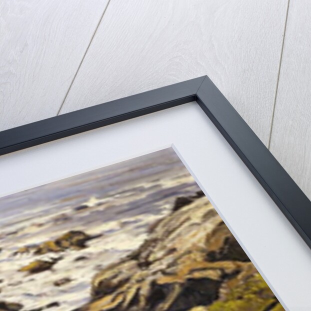 Rocky Coast by Walter Elmer Schofield