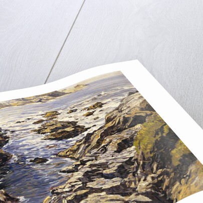 Rocky Coast by Walter Elmer Schofield