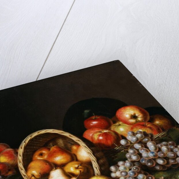 Apples, Pears, Plums and Grapes by Charles Bird King