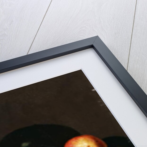 Apples, Pears, Plums and Grapes by Charles Bird King