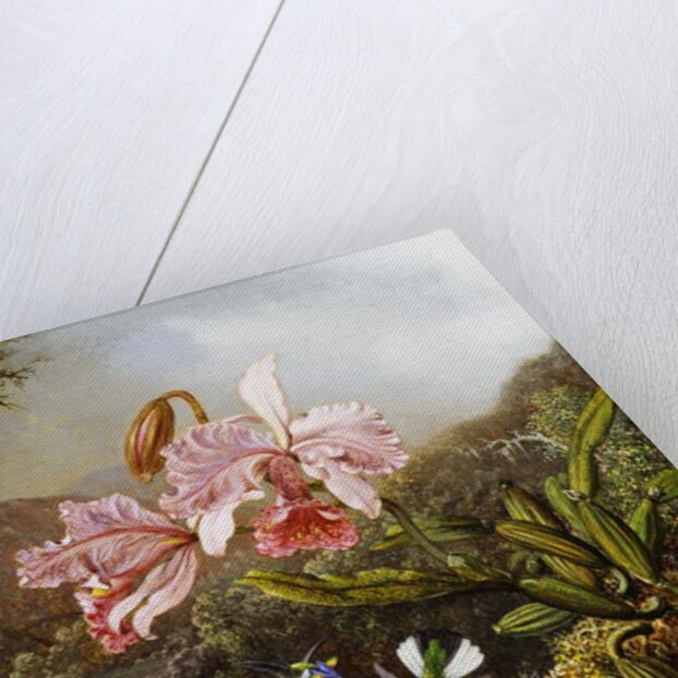 Orchids and Hummingbirds in a Brazilian Jungle, c. 1871-72 by Martin Johnson Heade