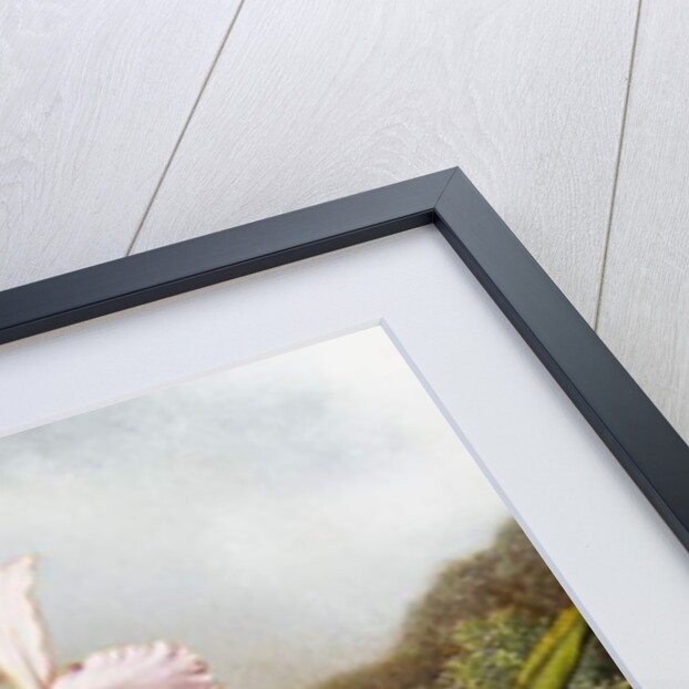 Orchids and Hummingbirds in a Brazilian Jungle, c. 1871-72 by Martin Johnson Heade