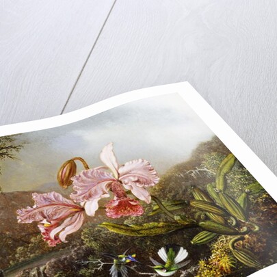 Orchids and Hummingbirds in a Brazilian Jungle, c. 1871-72 by Martin Johnson Heade
