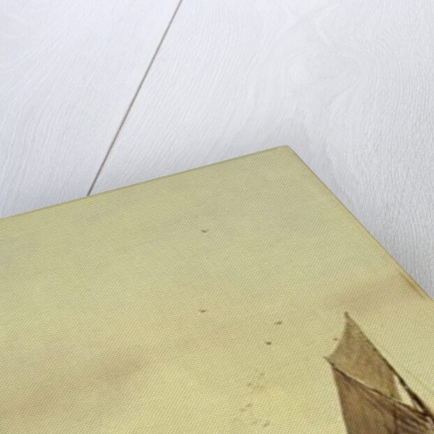 Drying the Sails, Oyster Boats, Patchogue, Long Island by Alfred Thompson Bricher