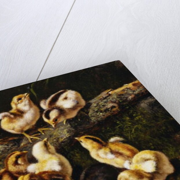 Little Pets, 1899 by Arthur Fitzwilliam Tait