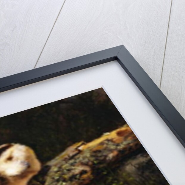 Little Pets, 1899 by Arthur Fitzwilliam Tait