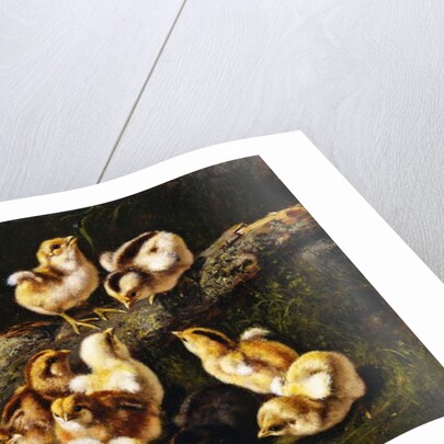 Little Pets, 1899 by Arthur Fitzwilliam Tait