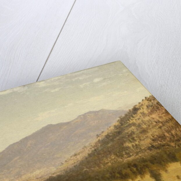 Bergen Park, Colorado by John Frederick Kensett