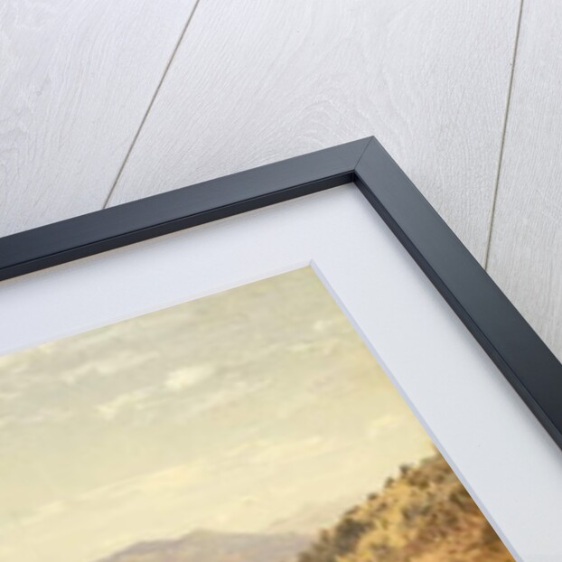 Bergen Park, Colorado by John Frederick Kensett