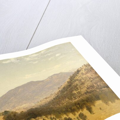 Bergen Park, Colorado by John Frederick Kensett