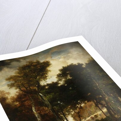 Woods by a River, 1886 by Thomas Moran