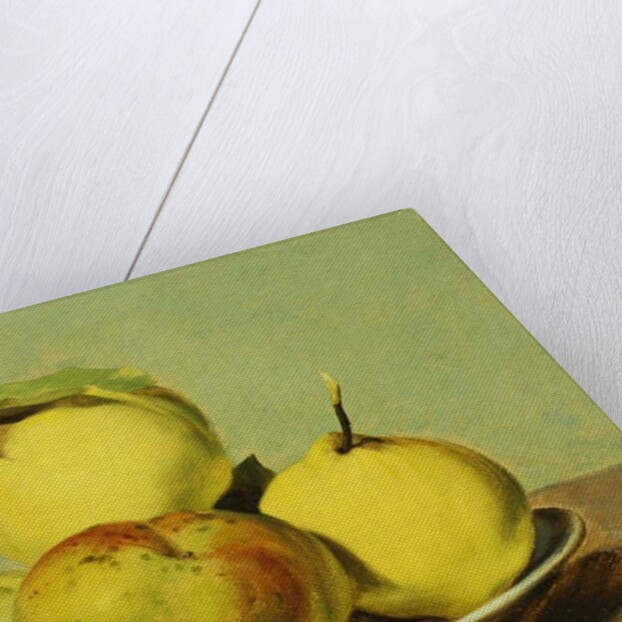 Dish of Apples and Quinces by David Johnson
