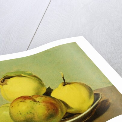 Dish of Apples and Quinces by David Johnson